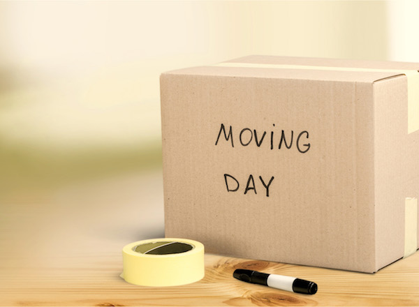 local Moving within Washington DC metro area